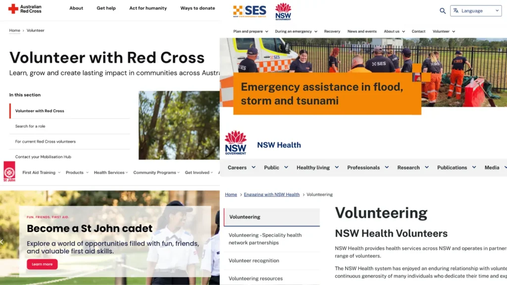 Big Organizations Opportunities 